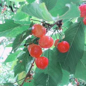 ☆社員研修　１日目☆