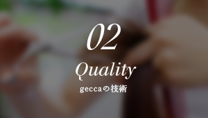 02 geccaの技術